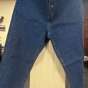 Express Indigo Skinny Jeans